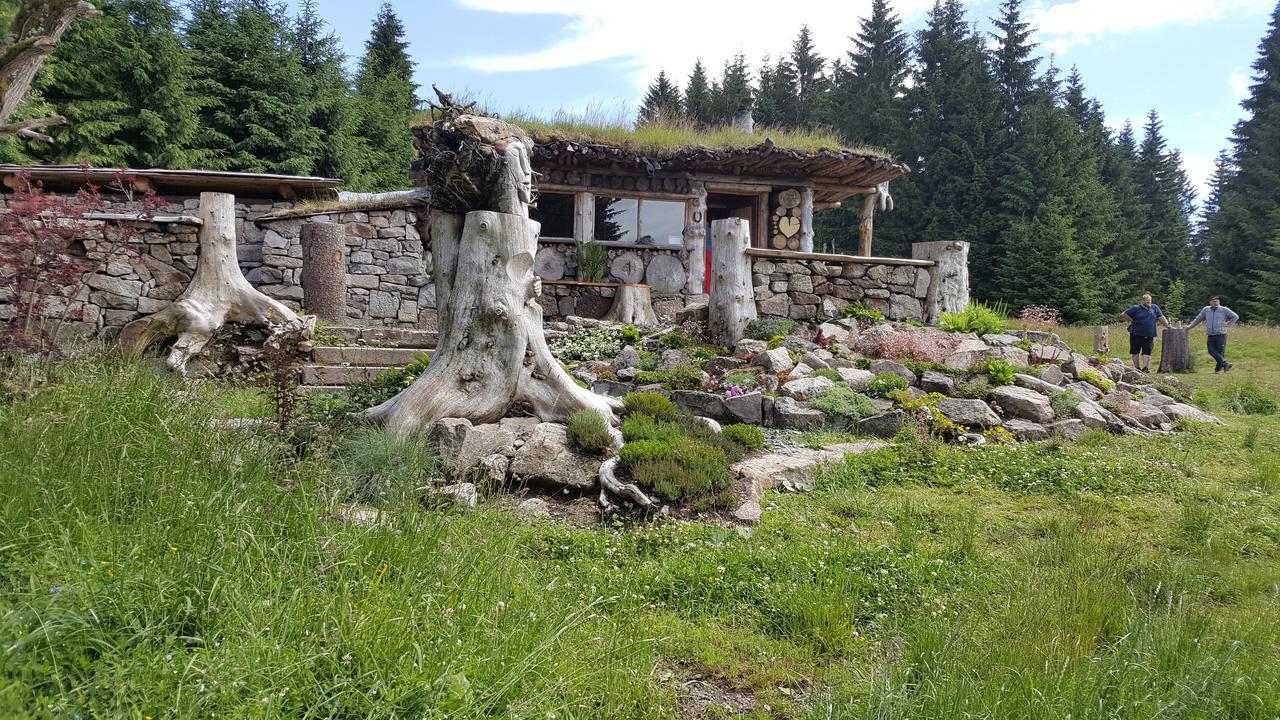 Chata Plesivka Abertamy Luaran gambar